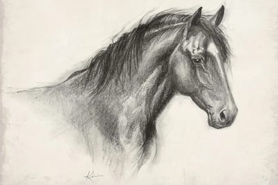 Horse Sketch by Lindsay Kivi canvas print