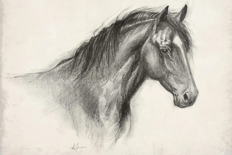 Horse Sketch