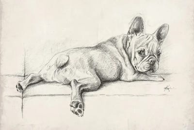 French Bulldogs