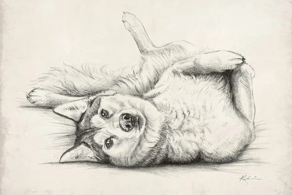 Siberian Huskies: Husky Sketch by Lindsay Kivi
