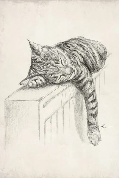 Sleeping Tabby Sketch by Lindsay Kivi metal wall art