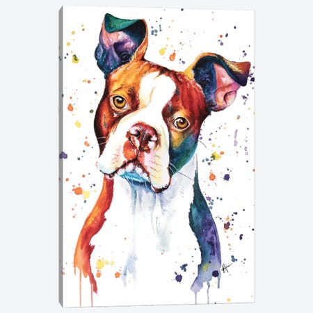 Boston Terrier Canvas Print #LKV19} by Lindsay Kivi Canvas Art