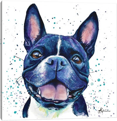 Boston Terrier II Canvas Art Print - Lindsay Kivi