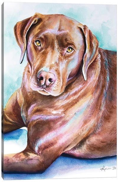 Chocolate Lab Canvas Art Print - Pet Dad