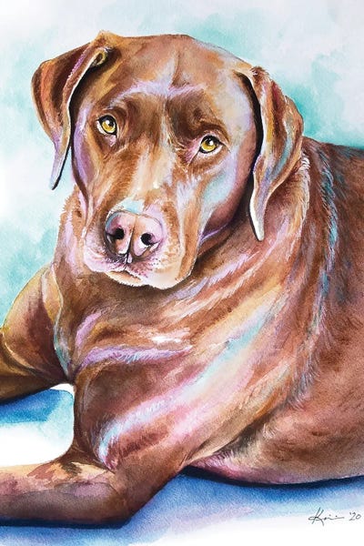 Labrador Retrievers: Chocolate Lab by Lindsay Kivi