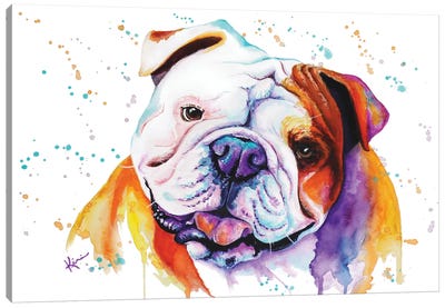 English Bulldog Canvas Art Print - Lindsay Kivi