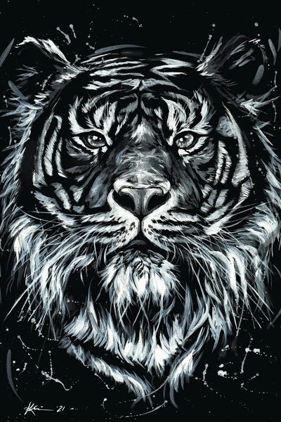 Tigers: Tiger by Lindsay Kivi