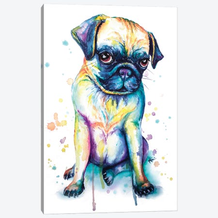 Pug Puppy Canvas Print #LKV35} by Lindsay Kivi Canvas Print