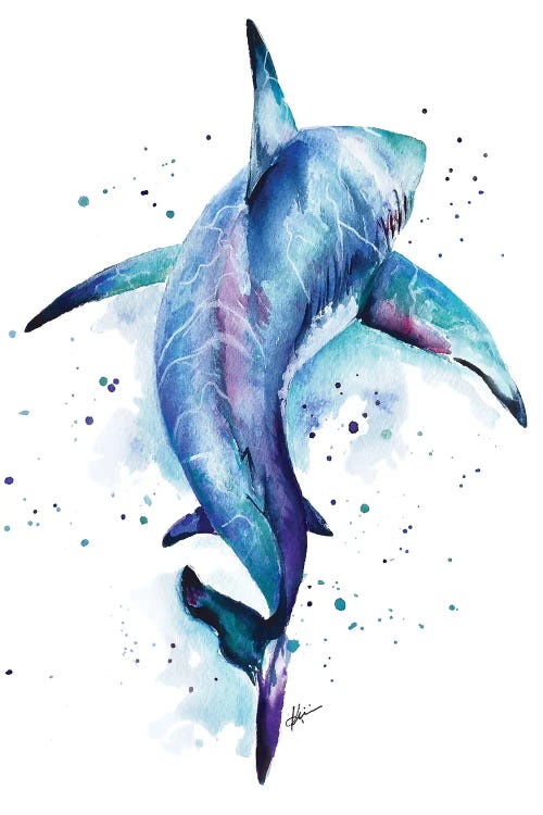 Shark by Lindsay Kivi wall art