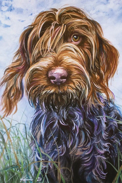 Wirehaired Pointing Griffon II by Lindsay Kivi wall art