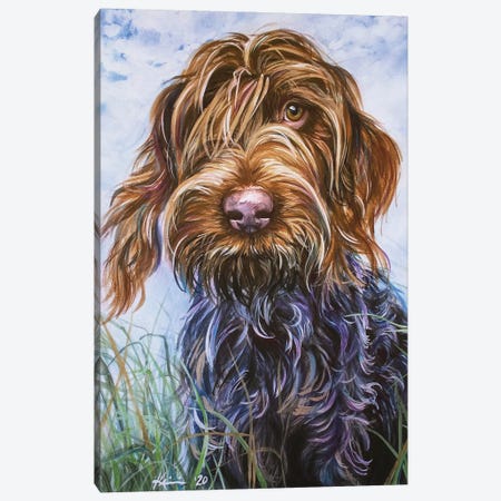Wirehaired Pointing Griffon II Canvas Print #LKV44} by Lindsay Kivi Canvas Artwork