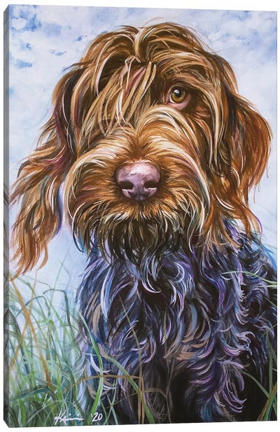 Wirehaired Pointing Griffon II Canvas Art Print