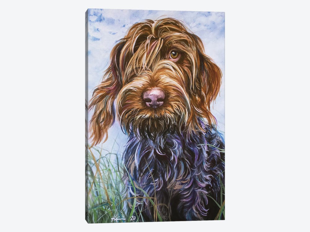 Wirehaired Pointing Griffon II by Lindsay Kivi 1-piece Canvas Art