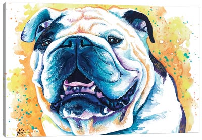English Bulldog II Canvas Art Print - Lindsay Kivi