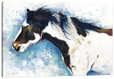 Painted Horse Canvas Art Print - Lindsay Kivi