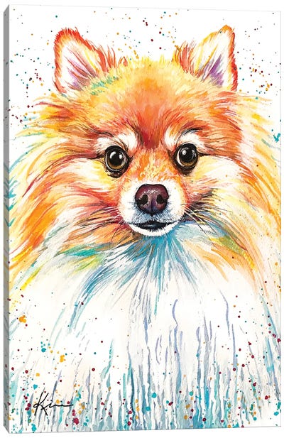 Pomeranian Canvas Art Print - Lindsay Kivi