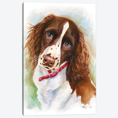 Springer Spaniel Puppy Canvas Print #LKV60} by Lindsay Kivi Art Print