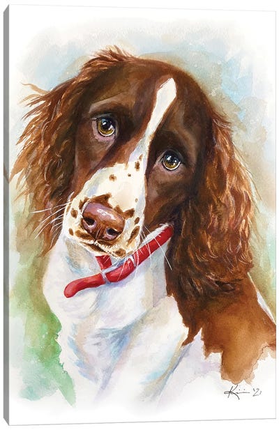 Springer Spaniel Puppy Canvas Art Print - Lindsay Kivi