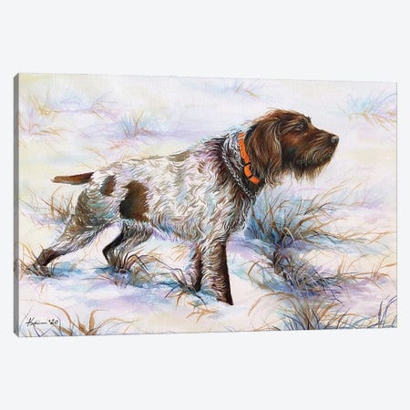 Wirehaired Pointing Griffon Canvas Print #LKV62} by Lindsay Kivi Canvas Print