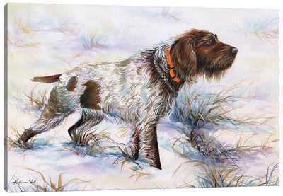 Wirehaired Pointing Griffon Canvas Art Print