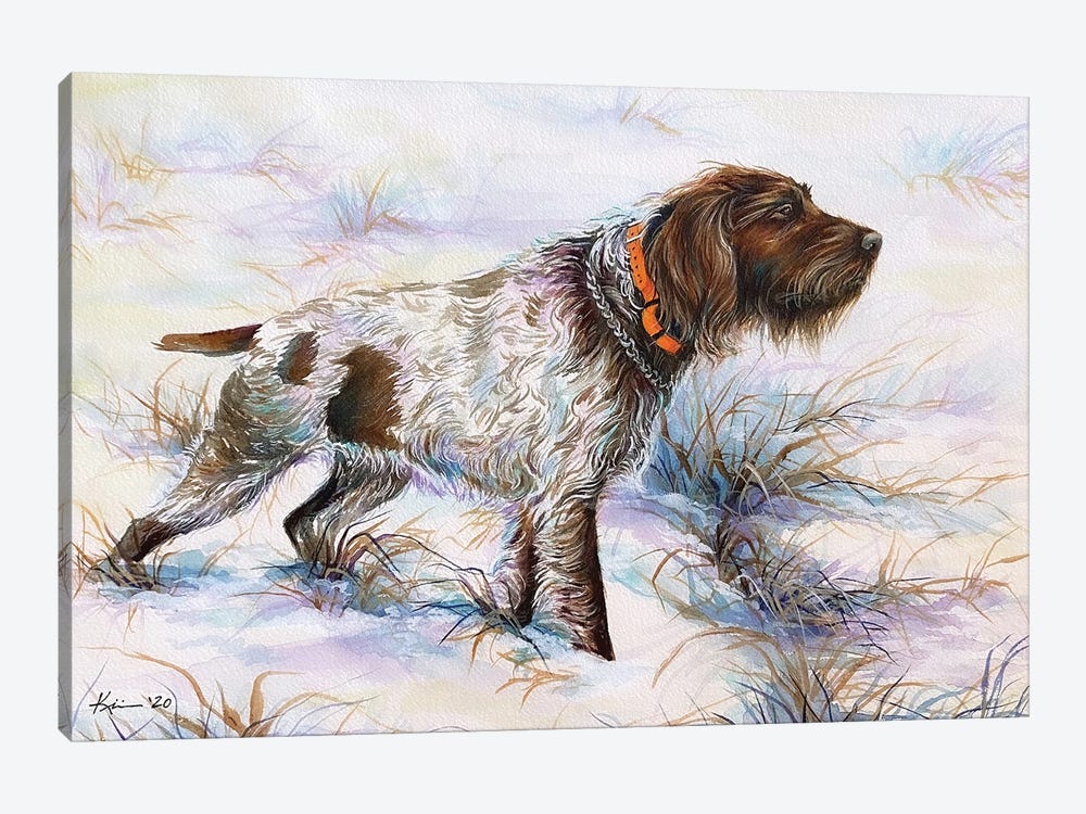 Wirehaired Pointing Griffon by Lindsay Kivi 1-piece Canvas Artwork