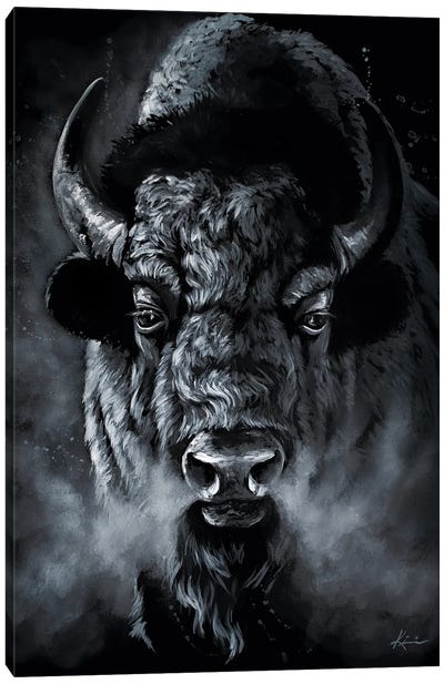 Ghost Of The Plains Canvas Art Print - Bison & Buffalo Art