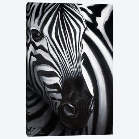 Zebra Canvas Print #LKV68} by Lindsay Kivi Art Print