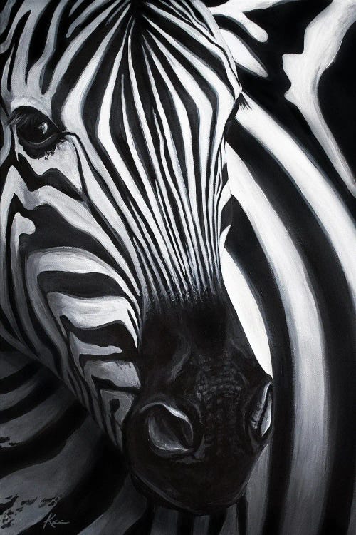 Zebra