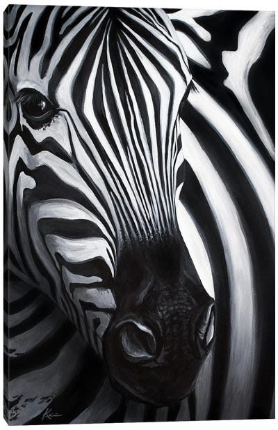 Zebra Canvas Art Print - Lindsay Kivi