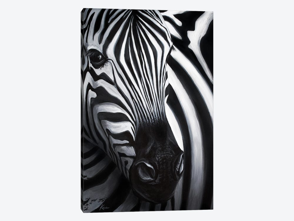 Zebra by Lindsay Kivi 1-piece Canvas Wall Art