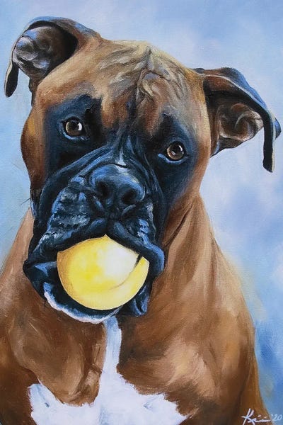Boxer by Lindsay Kivi acrylic art print