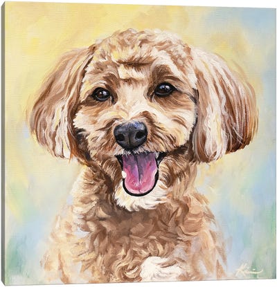 Cavapoo Canvas Art Print - Poodle Art