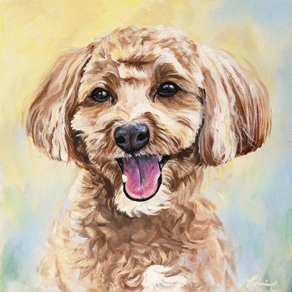 Spaniels: Cavapoo by Lindsay Kivi