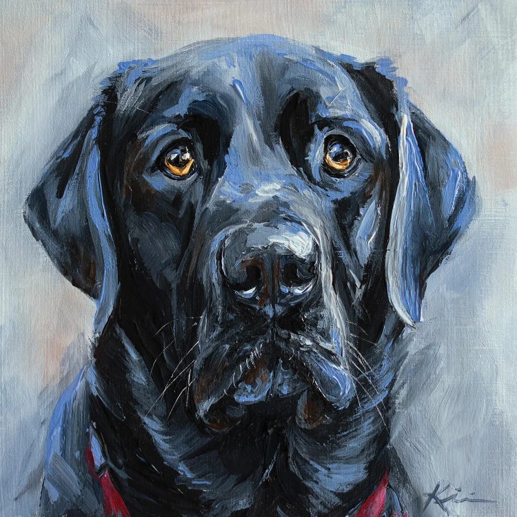 Black Lab II