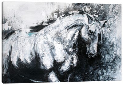 White Horse Canvas Art Print - Black & White Animal Art