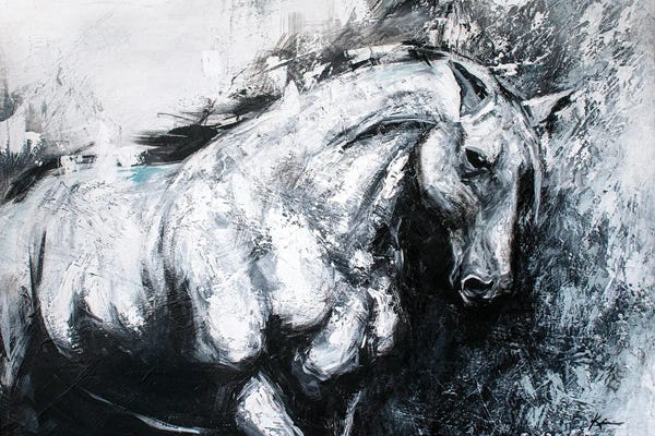 Black & White Animal Art: White Horse by Lindsay Kivi