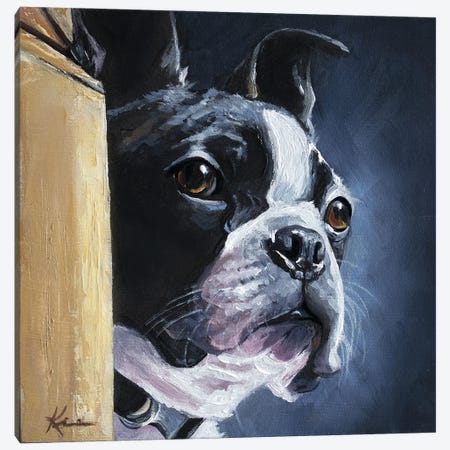 Boston Terrier III Canvas Print #LKV87} by Lindsay Kivi Canvas Art