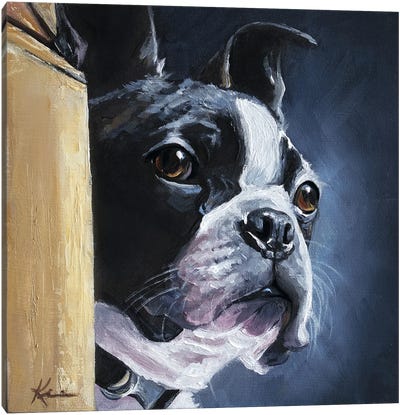 Boston Terrier III Canvas Art Print - Pet Dad