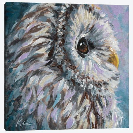 Barred Owl Canvas Print #LKV89} by Lindsay Kivi Canvas Art Print