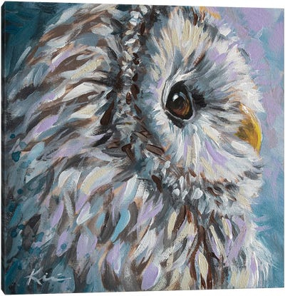Barred Owl Canvas Art Print - Owl Art