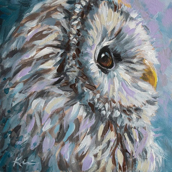 Owls: Barred Owl by Lindsay Kivi