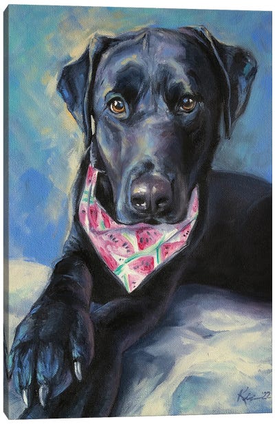 Black Lab Puppy II Canvas Art Print - Lindsay Kivi