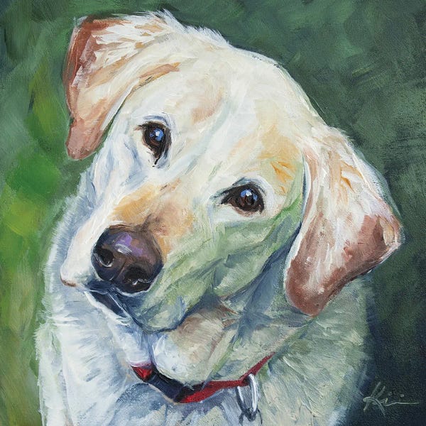 Labrador Retrievers: Yellow Lab by Lindsay Kivi
