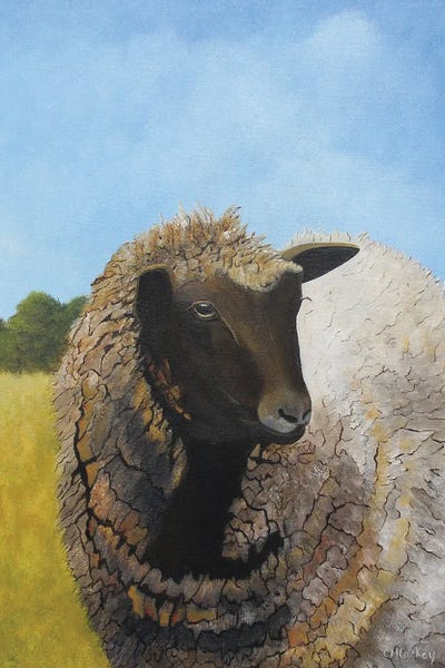Ewe, Okay? by Cheryl Miller Lackey framed canvas print