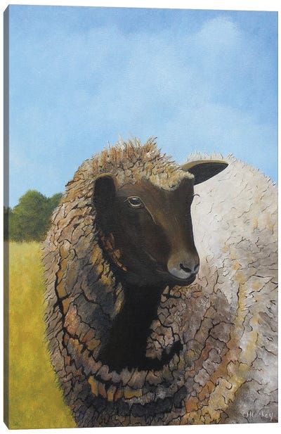 Ewe, Okay? Canvas Art Print - Cheryl Miller Lackey