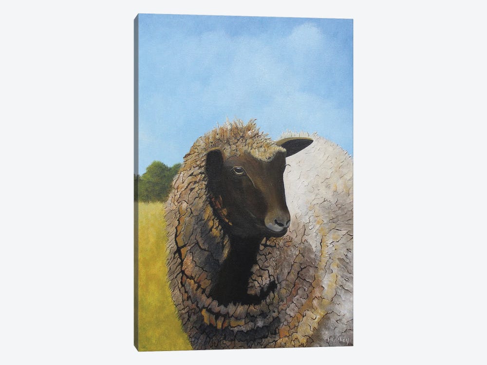 Ewe, Okay? by Cheryl Miller Lackey 1-piece Canvas Wall Art