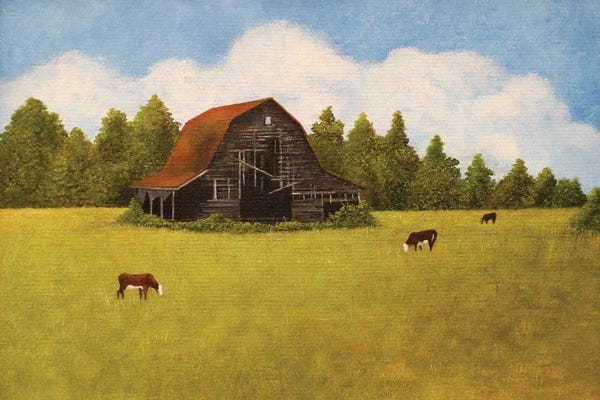 Barns: Falling Down by Cheryl Miller Lackey