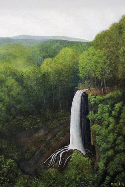 Falling Springs by Cheryl Miller Lackey canvas print