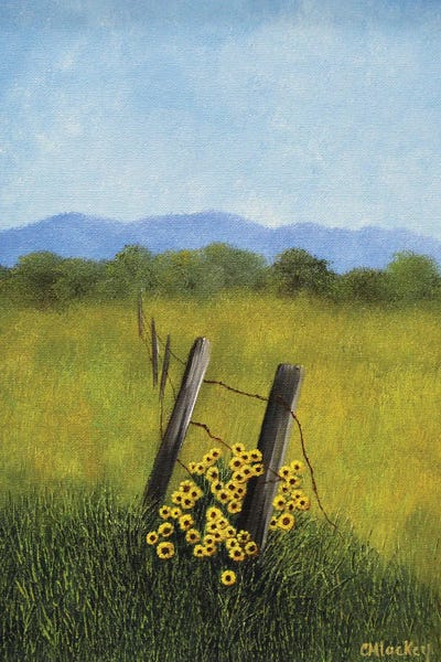 Fence Row by Cheryl Miller Lackey metal wall art