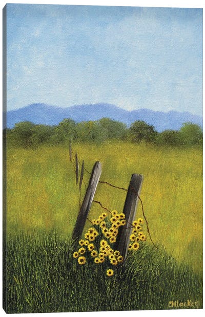 Fence Row Canvas Art Print - Cheryl Miller Lackey